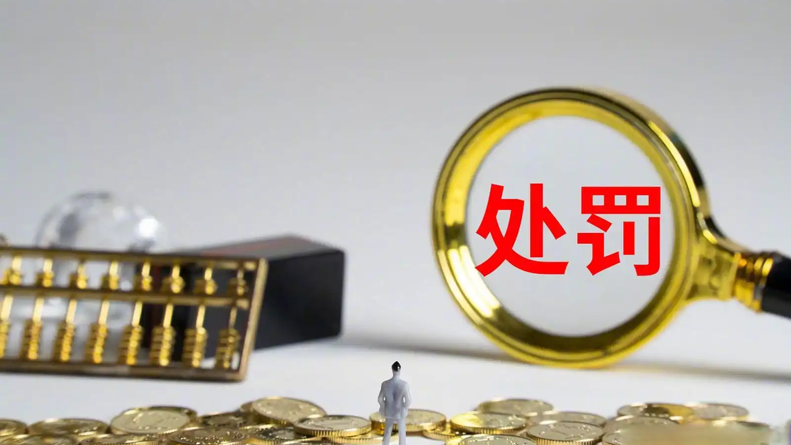 年内最大罚单！又一支付机构被重罚