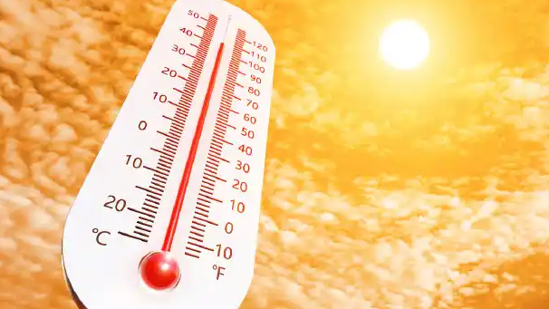 临安否定“6月15日最高温接近50℃”