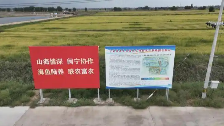 宁夏戈壁滩成功实现海鱼陆养