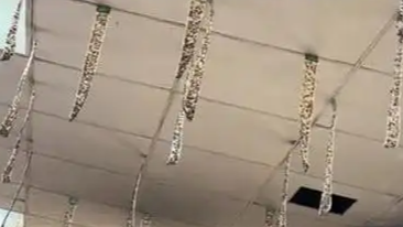开封通报一早餐店天花板布满苍蝇